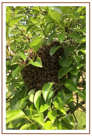 présentation produits titre2